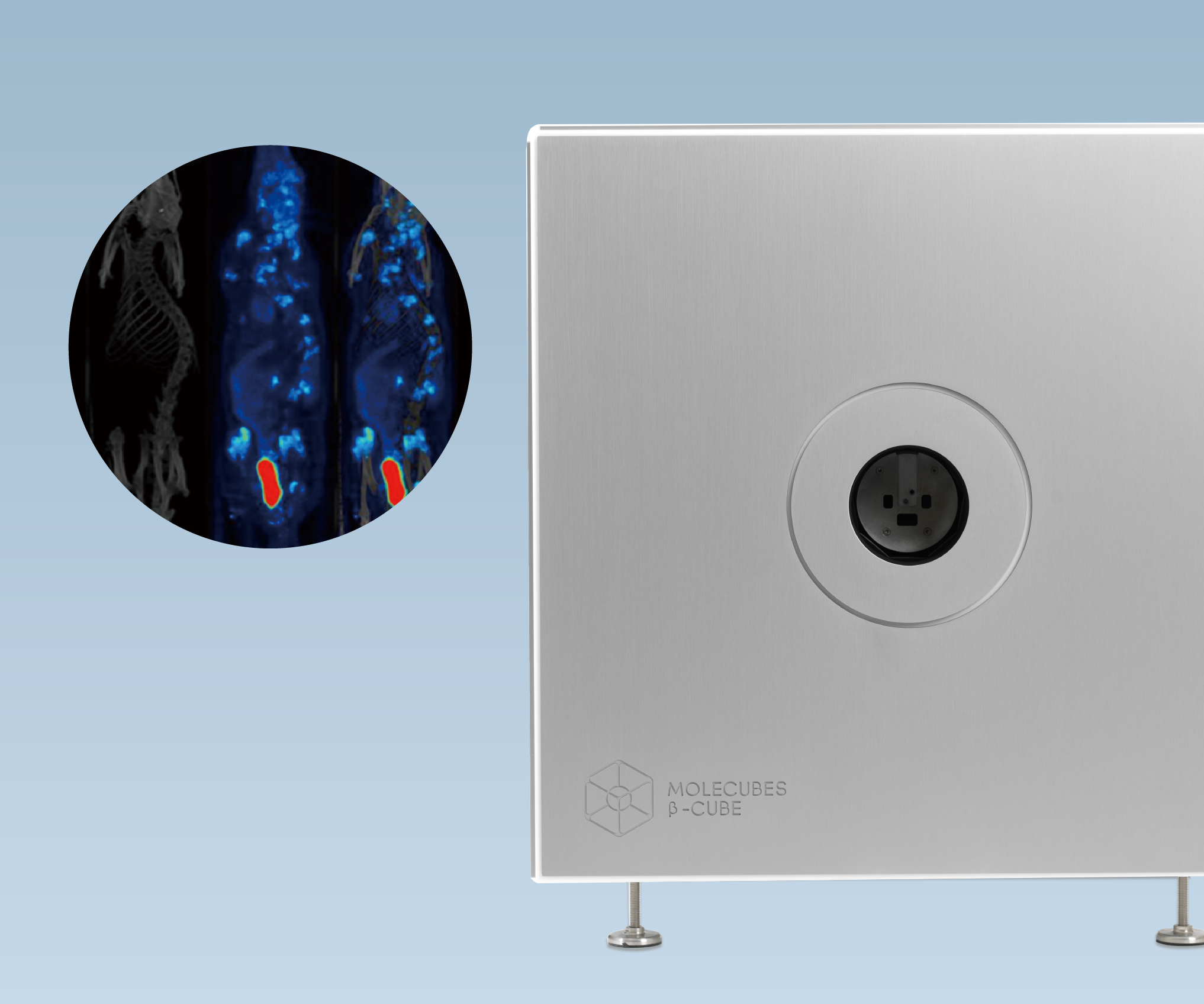 動(dòng)物實(shí)驗(yàn)設(shè)備